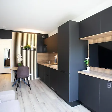 Sunny Flat In Les Pins 公寓