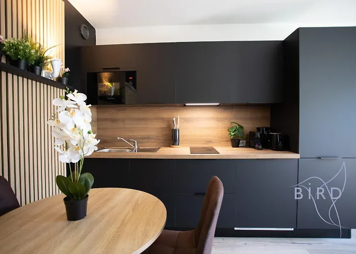 公寓 Sunny Flat In Les Pins 胡安莱潘