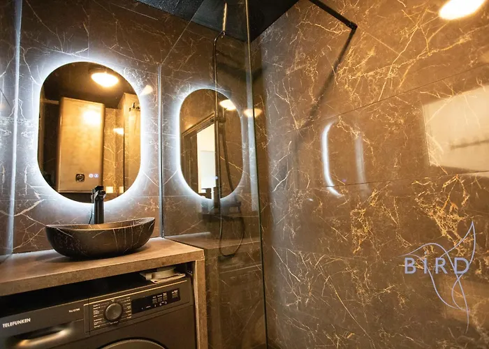 Sunny Flat In Les Pins * 胡安莱潘