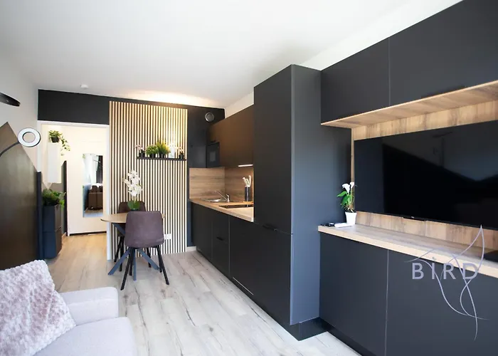 Sunny Flat In Les Pins 公寓