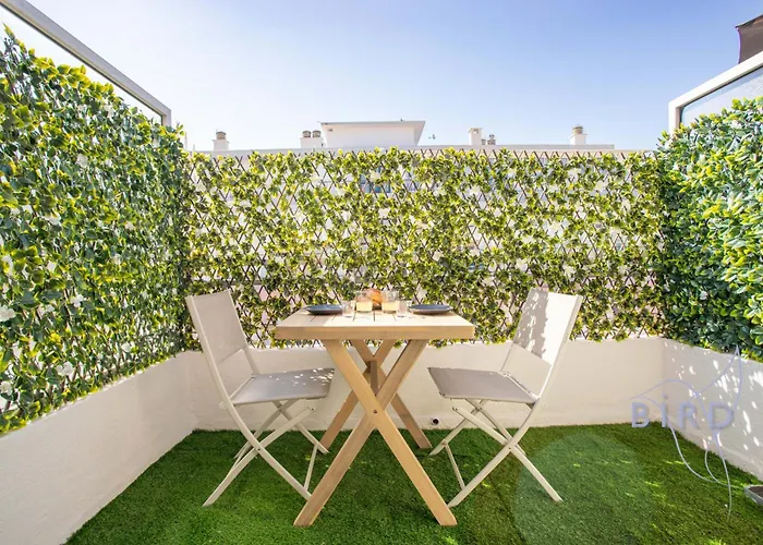 Sunny Flat In Les Pins