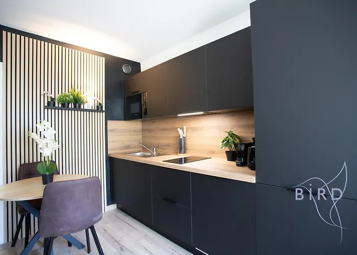 Sunny Flat In Les Pins Daire *